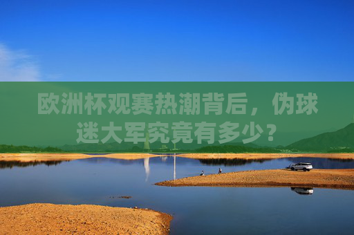 欧洲杯观赛热潮背后,伪球迷大军究竟有多少? 欧洲杯观赛热潮背后,伪球迷大军究竟有多少?