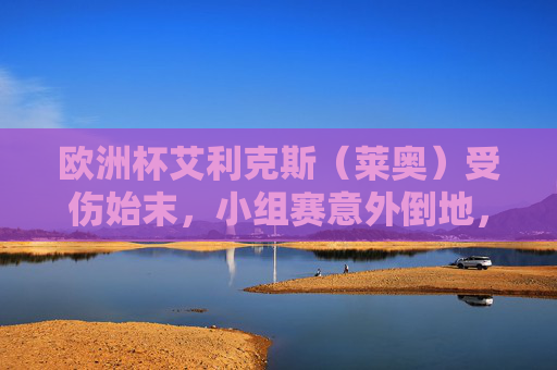欧洲杯艾利克斯（莱奥）受伤始末，小组赛意外倒地，葡萄牙锋线失重要力将