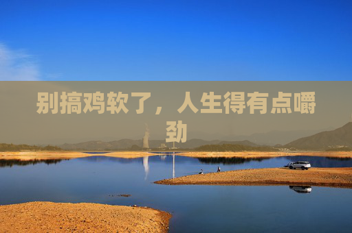 别搞鸡软了，人生得有点嚼劲