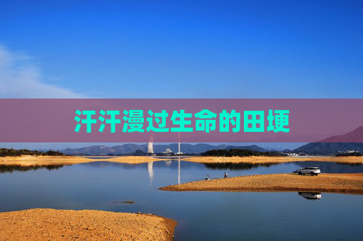 汗汗漫过生命的田埂 汗汗漫过生命的田埂
