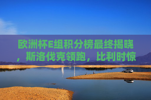 欧洲杯E组积分榜最终揭晓,斯洛伐克领跑,比利时惊险晋级,乌克兰成最佳第三 欧洲杯E组积分榜最终揭晓,斯洛伐克领跑,比利时惊险晋级,乌克兰成最佳第三