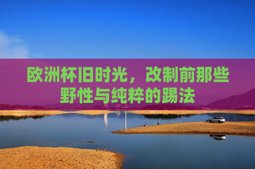 欧洲杯旧时光,改制前那些野性与纯粹的踢法 欧洲杯旧时光,改制前那些野性与纯粹的踢法