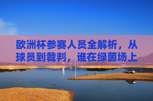 欧洲杯参赛人员全解析,从球员到裁判,谁在绿茵场上驰骋? 欧洲杯参赛人员全解析,从球员到裁判,谁在绿茵场上驰骋?