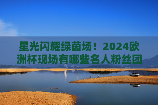 星光闪耀绿茵场！2024欧洲杯现场有哪些名人粉丝团？