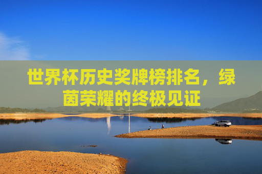 世界杯历史奖牌榜排名，绿茵荣耀的终极见证