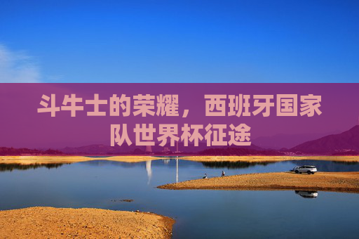 斗牛士的荣耀,西班牙国家队世界杯征途 斗牛士的荣耀,西班牙国家队世界杯征途