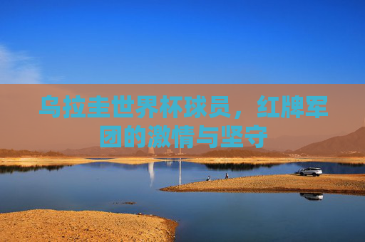 乌拉圭世界杯球员，红牌军团的激情与坚守