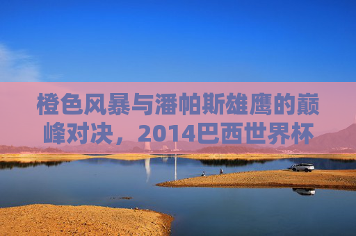橙色风暴与潘帕斯雄鹰的巅峰对决，2014巴西世界杯荷兰阿根廷生死战