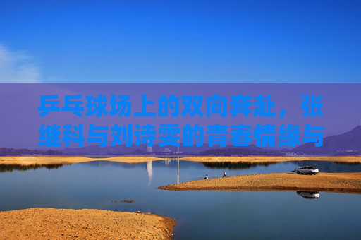 乒乓球场上的双向奔赴，张继科与刘诗雯的青春情缘与人生新章