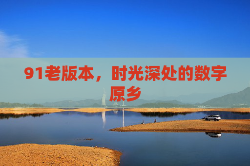 91老版本,时光深处的数字原乡 91老版本,时光深处的数字原乡