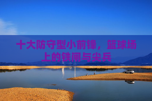 十大防守型小前锋,篮球场上的铁闸与尖兵 十大防守型小前锋,篮球场上的铁闸与尖兵