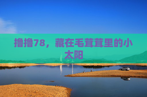 撸撸78,藏在毛茸茸里的小太阳 撸撸78,藏在毛茸茸里的小太阳