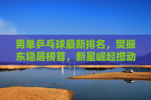 男单乒乓球最新排名，樊振东稳居榜首，新星崛起搅动格局