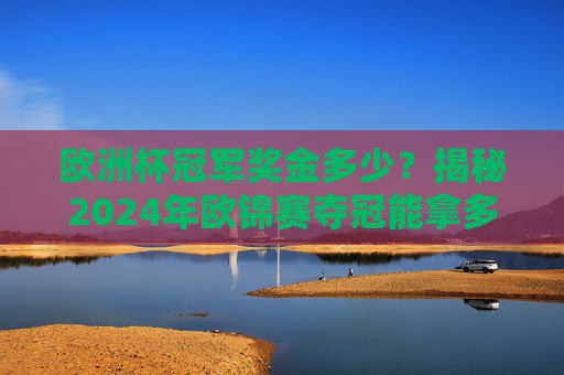 欧洲杯冠军奖金多少？揭秘2024年欧锦赛夺冠能拿多少钱！