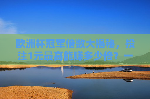 欧洲杯冠军倍数大揭秘,投注1元最高能赚多少倍?一场比赛背后的财富密码 欧洲杯冠军倍数大揭秘,投注1元最高能赚多少倍?一场比赛背后的财富密码