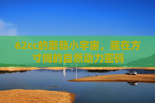 62cc的蘑菇小宇宙，藏在方寸间的自然动力密码