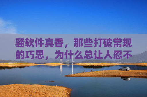 骚软件真香，那些打破常规的巧思，为什么总让人忍不住安利？