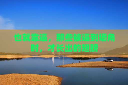 也就靠逼,那些被逼到墙角时,才长出的翅膀 也就靠逼,那些被逼到墙角时,才长出的翅膀