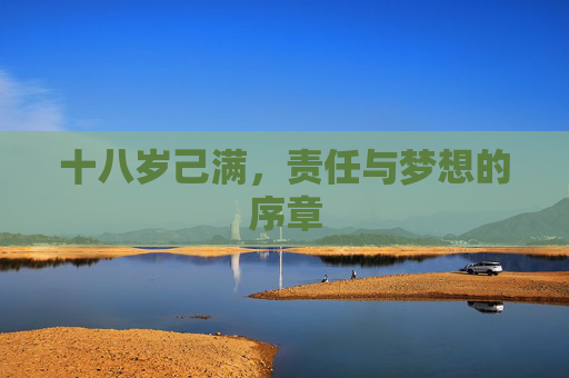十八岁己满，责任与梦想的序章