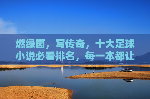燃绿茵,写传奇,十大足球小说必看排名,每一本都让你热血沸腾! 燃绿茵,写传奇,十大足球小说必看排名,每一本都让你热血沸腾!