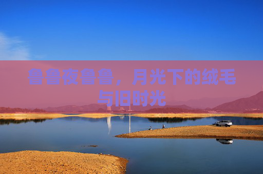 鲁鲁夜鲁鲁，月光下的绒毛与旧时光