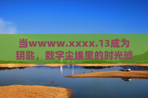 当wwww.xxxx.13成为钥匙，数字尘埃里的时光琥珀