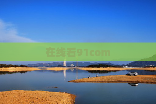 在线看91com