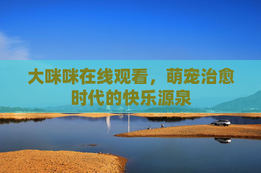 大咪咪在线观看，萌宠治愈时代的快乐源泉