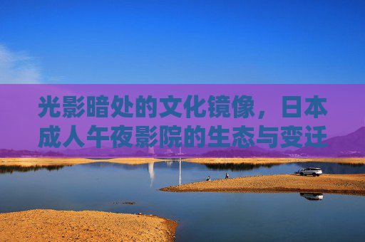 光影暗处的文化镜像，日本成人午夜影院的生态与变迁