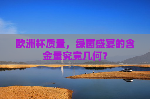 欧洲杯质量，绿茵盛宴的含金量究竟几何？