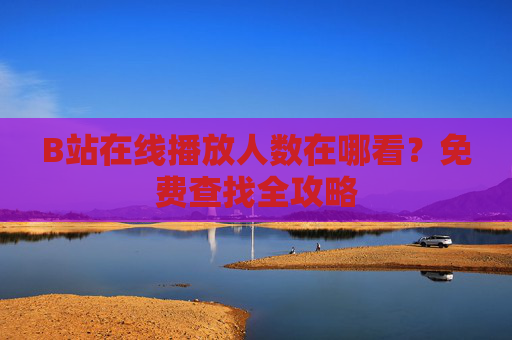 B站在线播放人数在哪看?免费查找全攻略 B站在线播放人数在哪看?免费查找全攻略