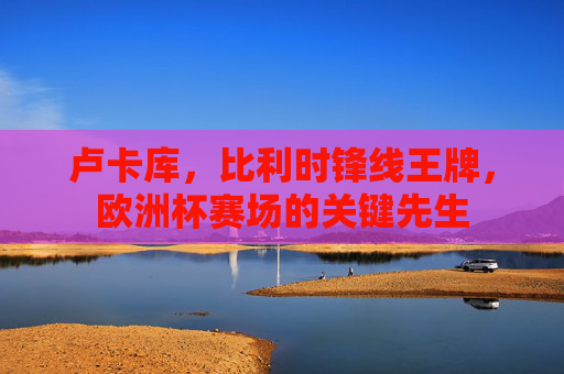 卢卡库,比利时锋线王牌,欧洲杯赛场的关键先生 卢卡库,比利时锋线王牌,欧洲杯赛场的关键先生