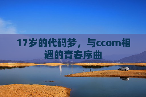 17岁的代码梦，与ccom相遇的青春序曲