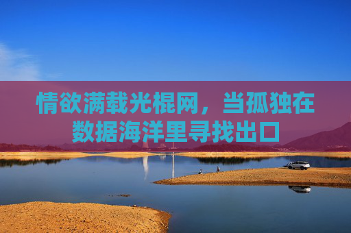 情欲满载光棍网,当孤独在数据海洋里寻找出口 情欲满载光棍网,当孤独在数据海洋里寻找出口