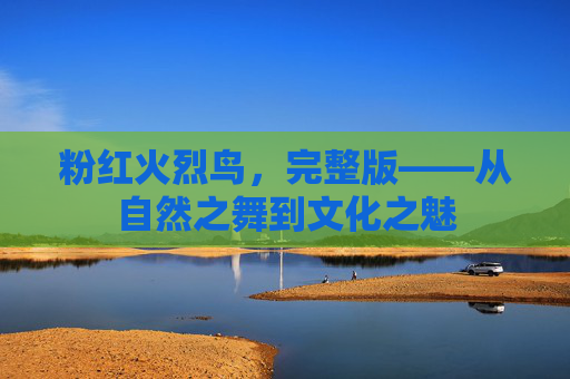 粉红火烈鸟,完整版——从自然之舞到文化之魅 粉红火烈鸟,完整版——从自然之舞到文化之魅