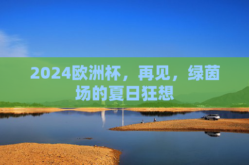 2024欧洲杯，再见，绿茵场的夏日狂想
