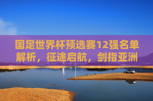 国足世界杯预选赛12强名单解析,征途启航,剑指亚洲之巅 国足世界杯预选赛12强名单解析,征途启航,剑指亚洲之巅