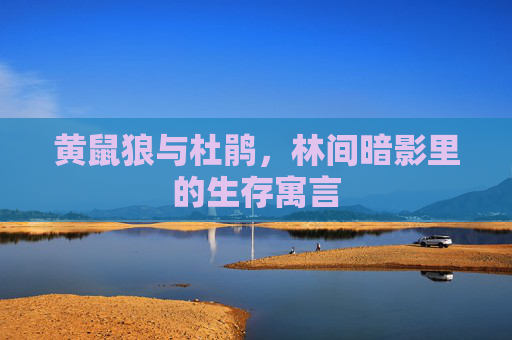 黄鼠狼与杜鹃,林间暗影里的生存寓言 黄鼠狼与杜鹃,林间暗影里的生存寓言