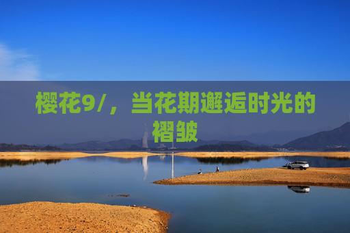 樱花9/,当花期邂逅时光的褶皱 樱花9/,当花期邂逅时光的褶皱