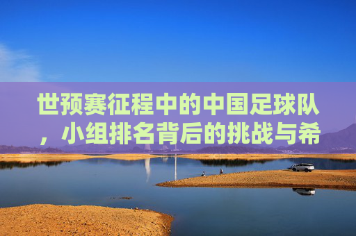 世预赛征程中的中国足球队,小组排名背后的挑战与希望 世预赛征程中的中国足球队,小组排名背后的挑战与希望
