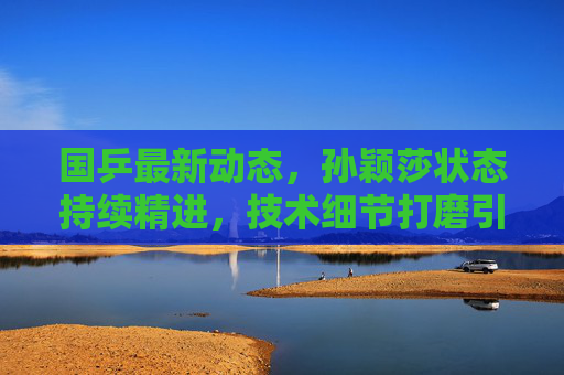 国乒最新动态，孙颖莎状态持续精进，技术细节打磨引关注