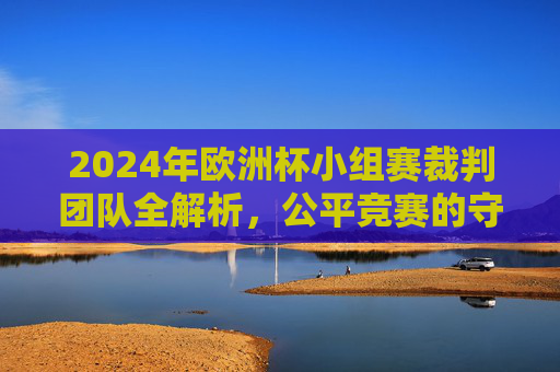 2024年欧洲杯小组赛裁判团队全解析,公平竞赛的守护者 2024年欧洲杯小组赛裁判团队全解析,公平竞赛的守护者