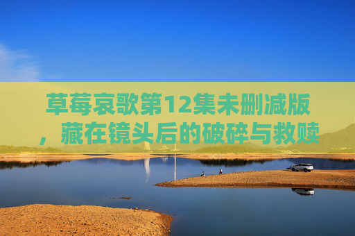 草莓哀歌第12集未删减版,藏在镜头后的破碎与救赎 草莓哀歌第12集未删减版,藏在镜头后的破碎与救赎