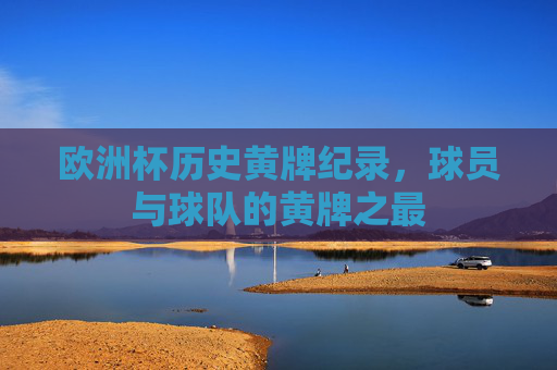 欧洲杯历史黄牌纪录，球员与球队的黄牌之最