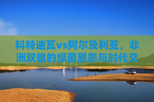 科特迪瓦vs阿尔及利亚,非洲双雄的绿茵恩怨与时代交响 科特迪瓦vs阿尔及利亚,非洲双雄的绿茵恩怨与时代交响