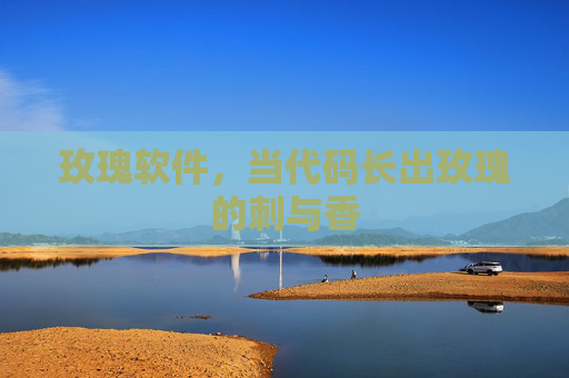 玫瑰软件，当代码长出玫瑰的刺与香