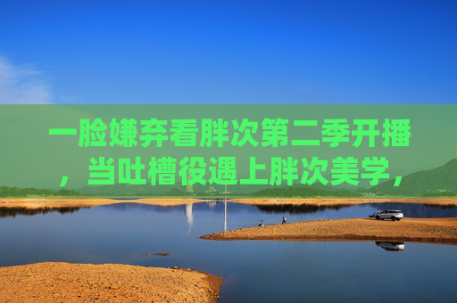 一脸嫌弃看胖次第二季开播，当吐槽役遇上胖次美学，在线观看指南笑到打鸣
