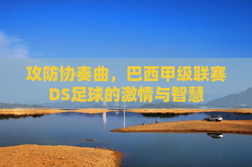 攻防协奏曲,巴西甲级联赛DS足球的激情与智慧 攻防协奏曲,巴西甲级联赛DS足球的激情与智慧