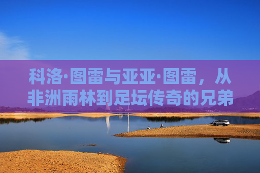 科洛·图雷与亚亚·图雷,从非洲雨林到足坛传奇的兄弟双星 科洛·图雷与亚亚·图雷,从非洲雨林到足坛传奇的兄弟双星