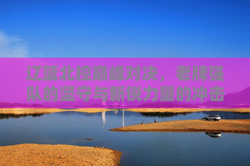 辽篮北控巅峰对决,老牌强队的坚守与新锐力量的冲击 辽篮北控巅峰对决,老牌强队的坚守与新锐力量的冲击